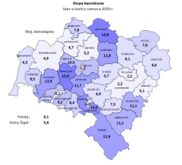 Zdjęcie artykułu Informacja o sytuacji na rynku pracy w woj. Dolnośląskim w czerwcu 2020 roku.