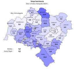 Zdjęcie artykułu Informacja o sytuacji na rynku pracy w woj. Dolnośląskim w Listopadzie 2024 roku.